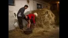Afspelen Futai in de ventilator met een nimfoman blondine